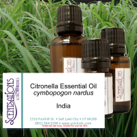 Citronella Essential Oil