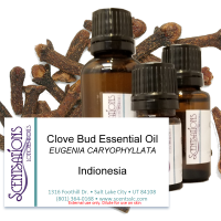 Clove Bud Essential Oil