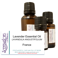 Lavender Essential Oil