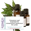 Cinnamon Leaf Essential Oil