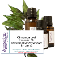 Cinnamon Leaf Essential Oil